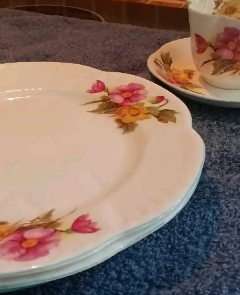 Shelly Begonia Collection image indicator(2)