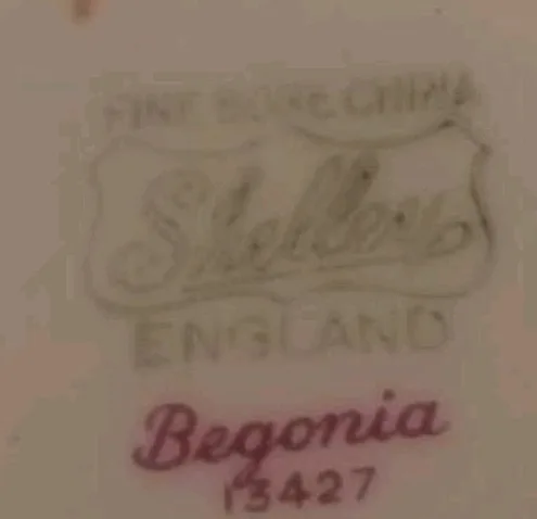 Shelly Begonia Collection image indicator(3)