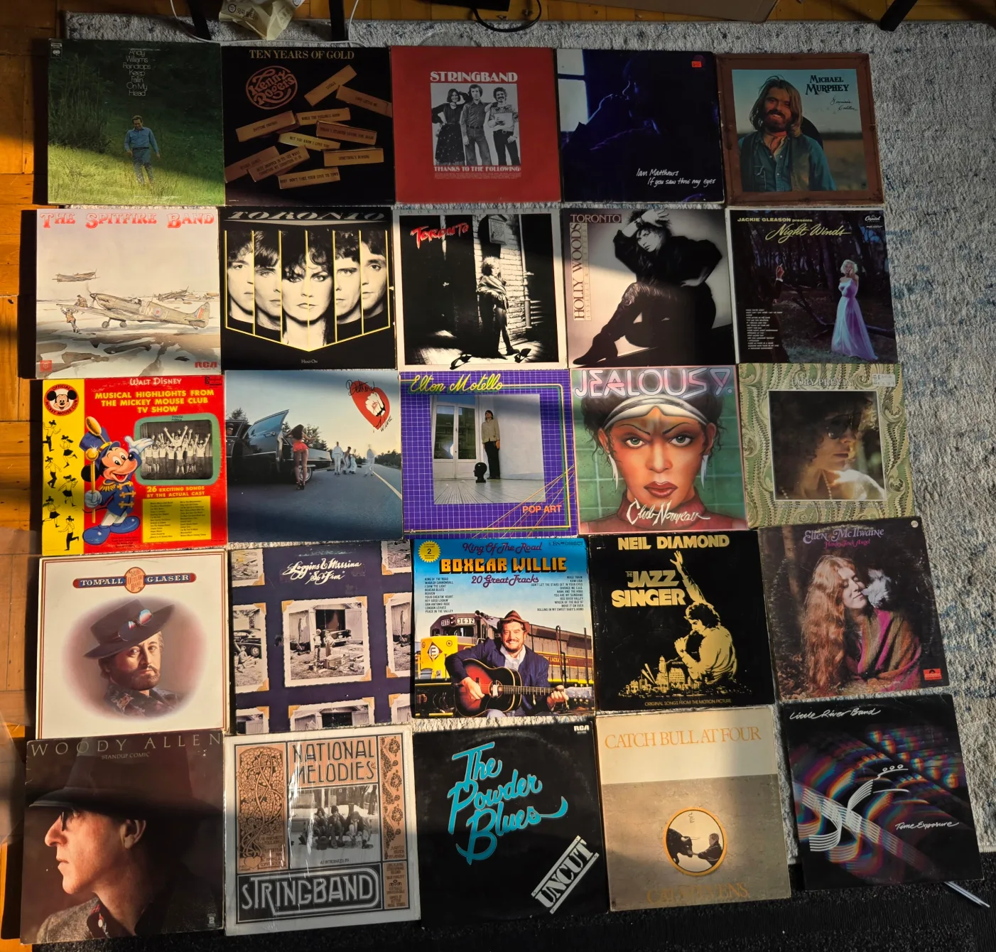 Vinyl Collection only $10 thumbnail