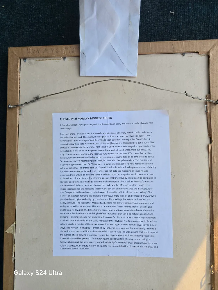 marlin Monroe image indicator(2)