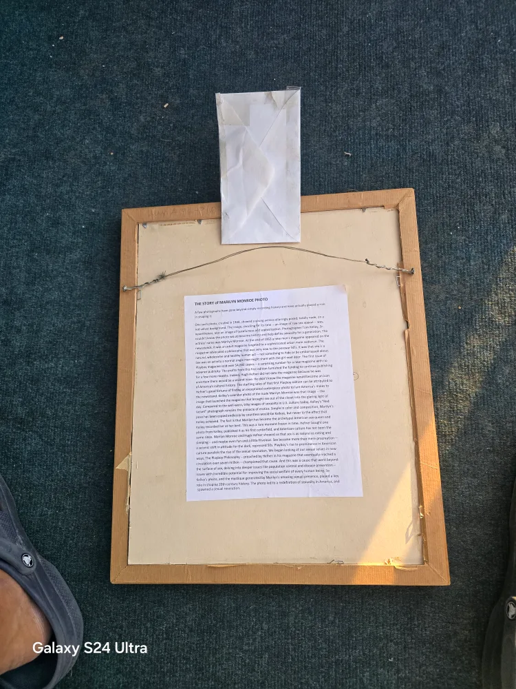 marlin Monroe image indicator(3)