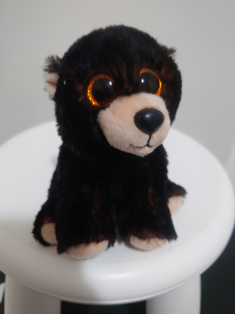 Ty Beanie Boos Kodi Bear Plush Toy