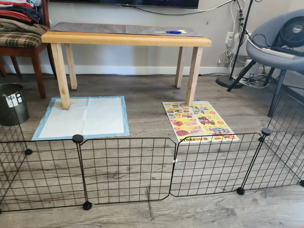 DIY PET FENCES thumbnail