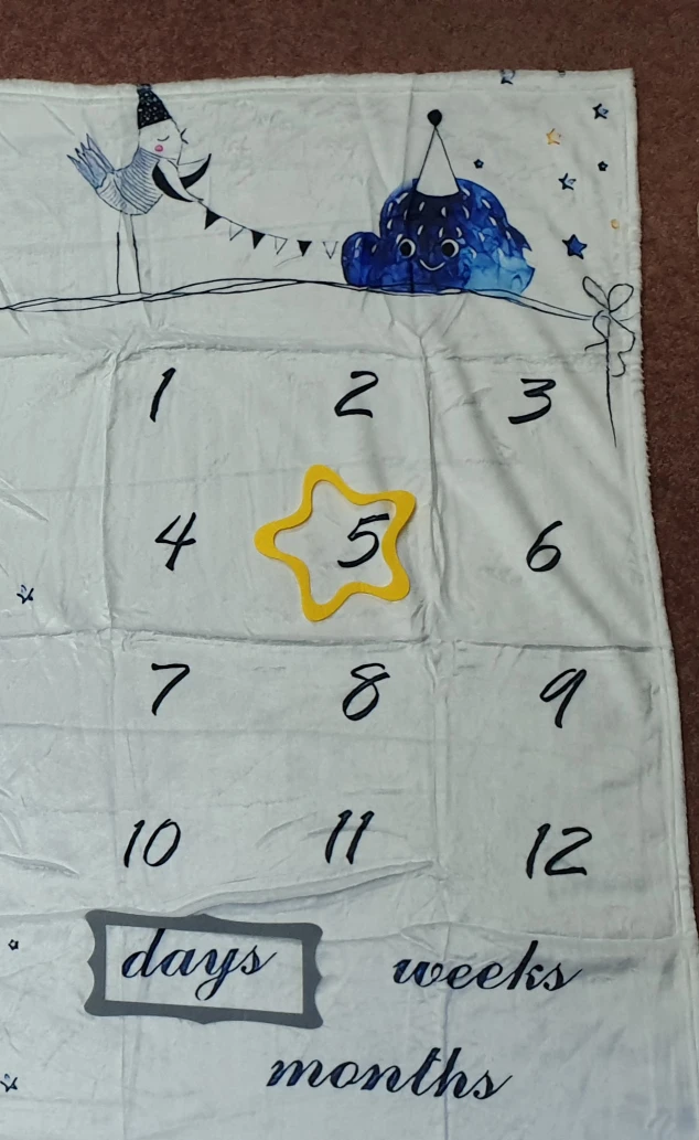New, Baby Milestone Blanket - photo 4