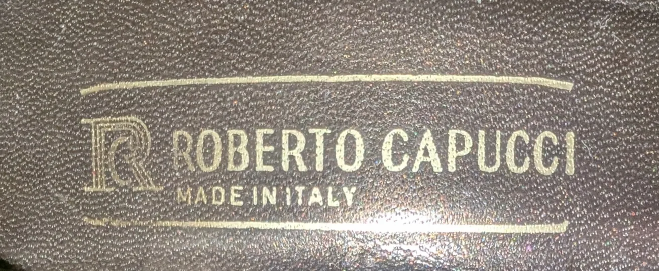 👠Roberto Capucci Bronze Heels👠 image indicator(7)