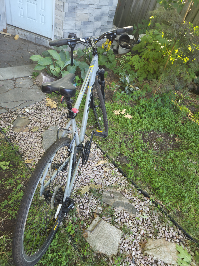 Raleigh Rivette Hybrid Bike - Great Condition! - photo 3