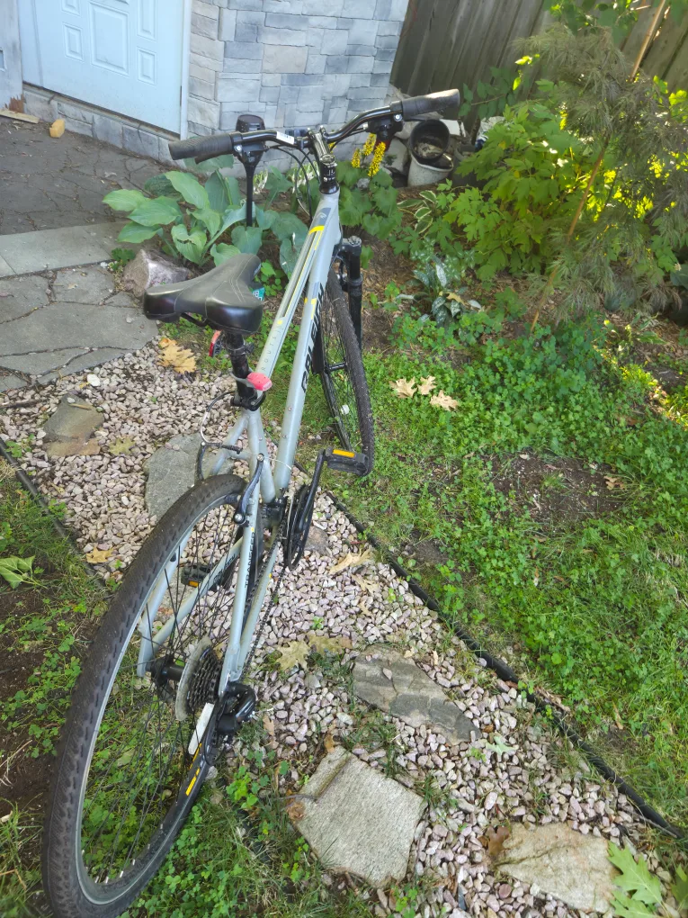 Raleigh Rivette Hybrid Bike - Great Condition! image indicator(3)