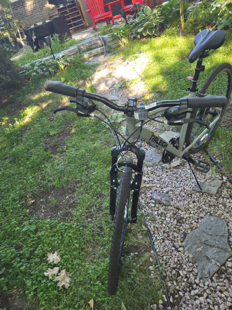 Raleigh Rivette Hybrid Bike - Great Condition! - photo 4
