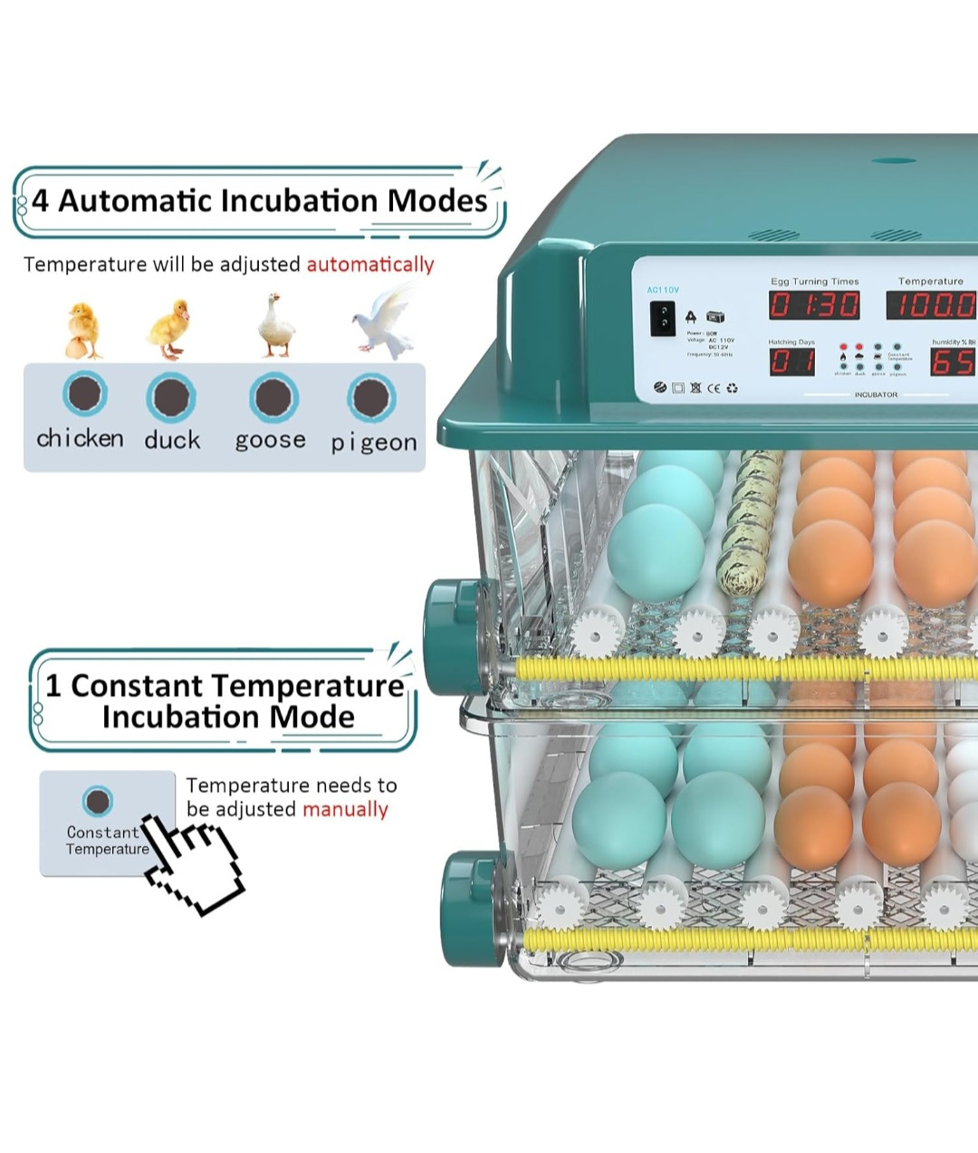 Timely Egg Lighting Incubator - photo 4