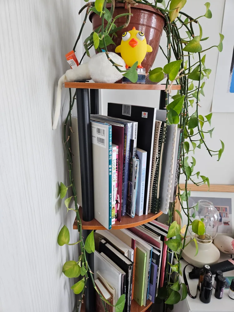 Corner Shelf Unit image indicator(2)