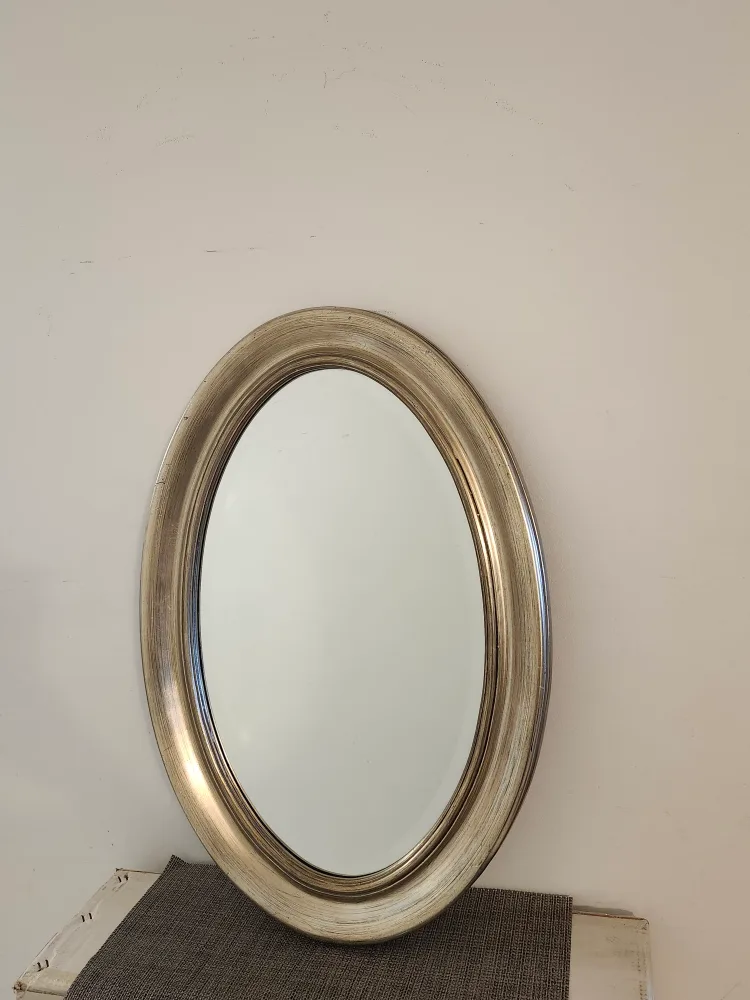 Oval Framed Mirror image indicator(2)
