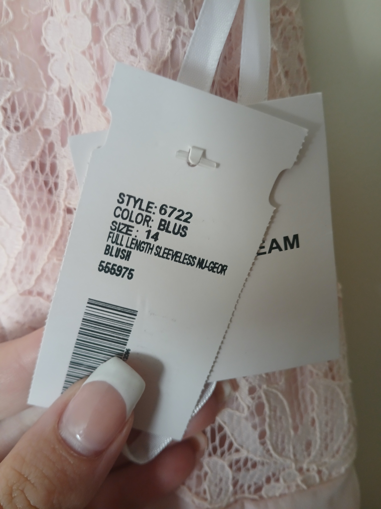 Blush Full Length Sleeveless Dress - Size 14 - photo 2