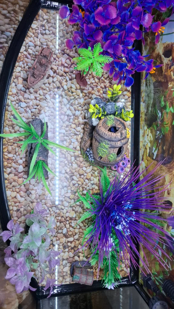 Fish tank with stand & accessories image indicator(4)