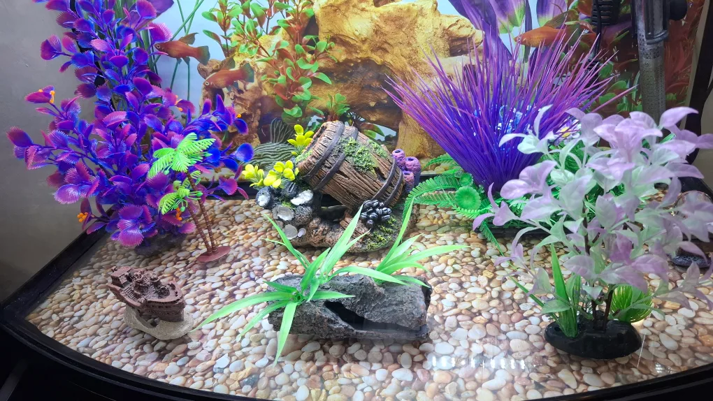 Fish tank with stand & accessories image indicator(5)