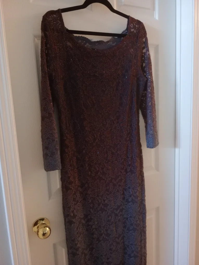 Lace Formal Dress-Size 6 image indicator(4)