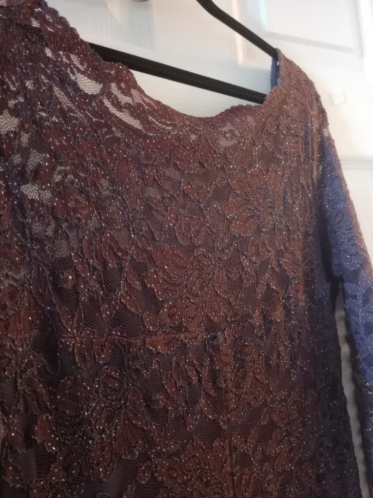 Lace Formal Dress-Size 6 image indicator(8)