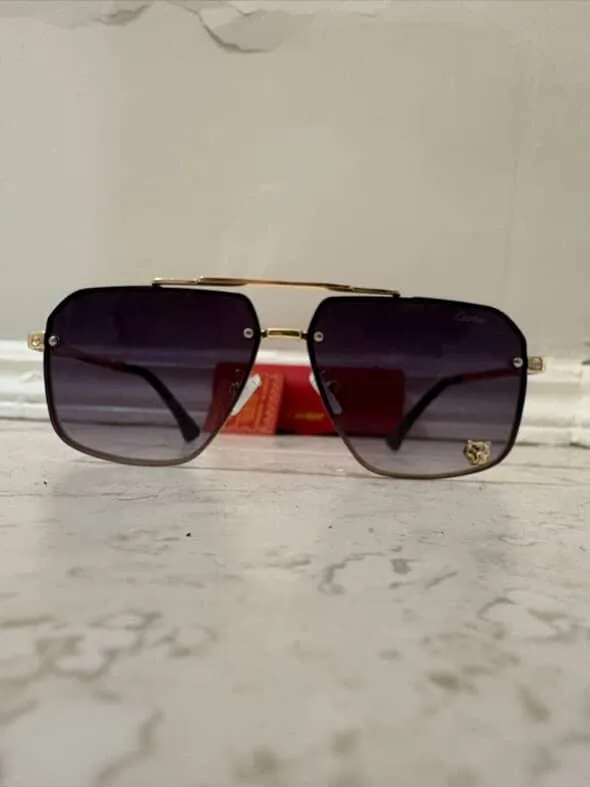 Cartier Sunglasses with Case image indicator(2)