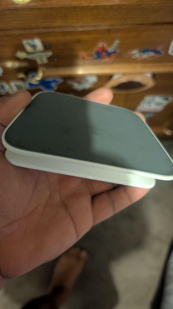 alexa stand