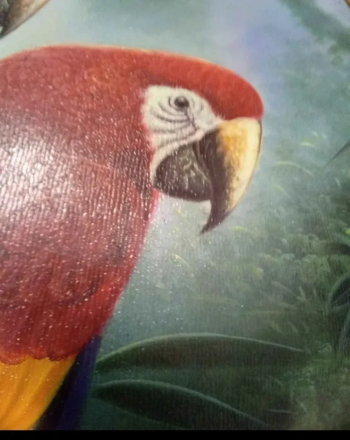 Parrot Print with Gold Frame & Touch Up Kit image indicator(2)