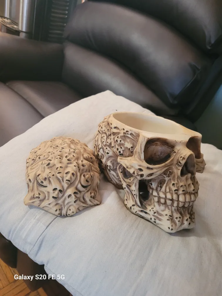 Skull Trinket Box with Dragon Design image indicator(4)