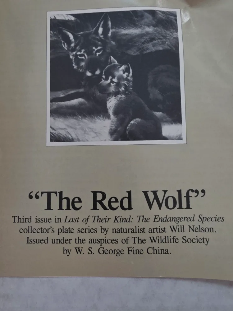 "The Red Wolf" Collector's Plate by Will Nelson thumbnail