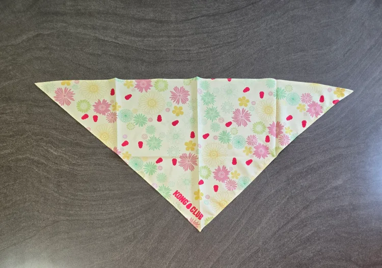 KONG Club Floral Dog Bandana thumbnail