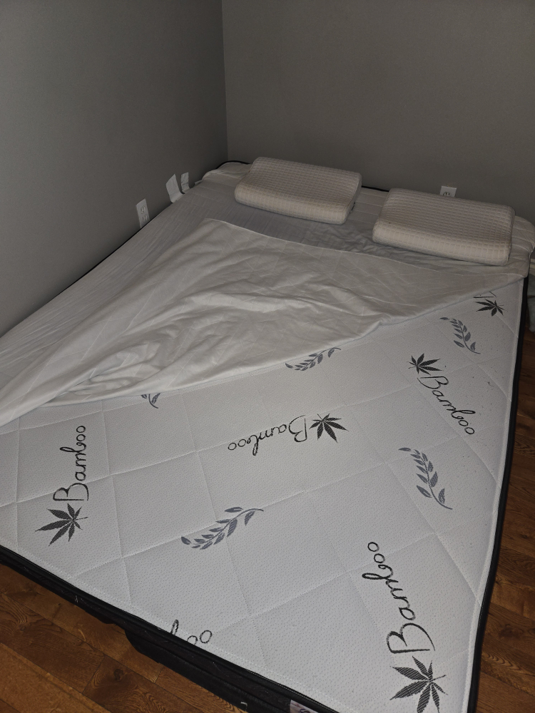 IKEA Mattress + Box Spring + Pillows (NEEDS TO GO ASAP)