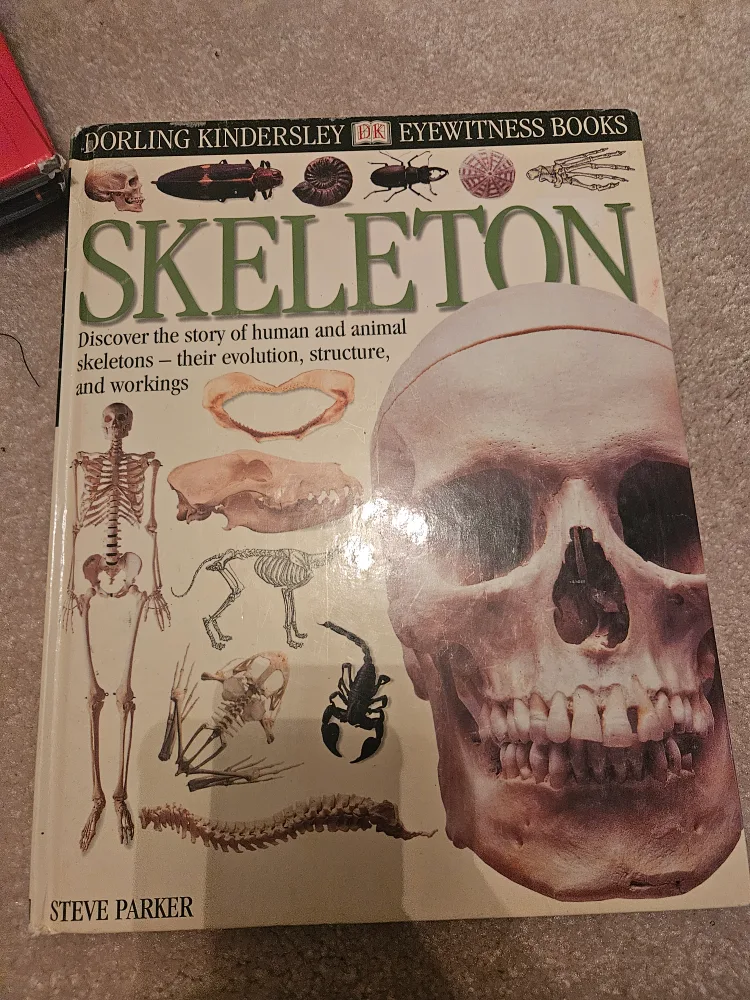 DK Eyewitness Books: Skeleton by Steve Parker thumbnail