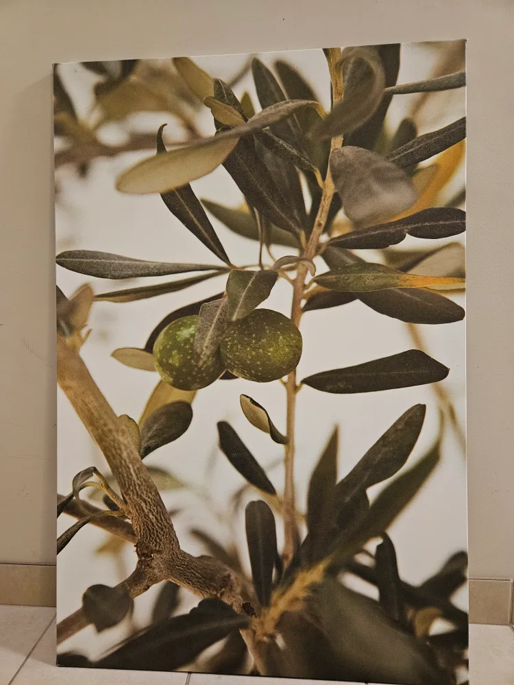 IKEA PJÄTTERYD Olive Print thumbnail