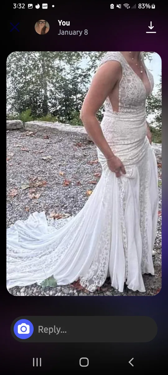 Wedding Dress - Lace, Ivory image indicator(4)