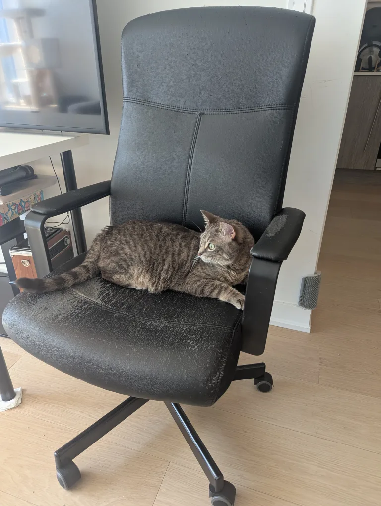 Office Chair thumbnail