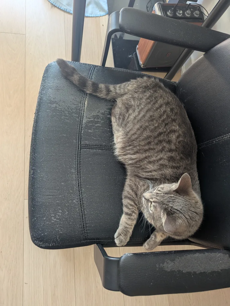 Office Chair image indicator(2)