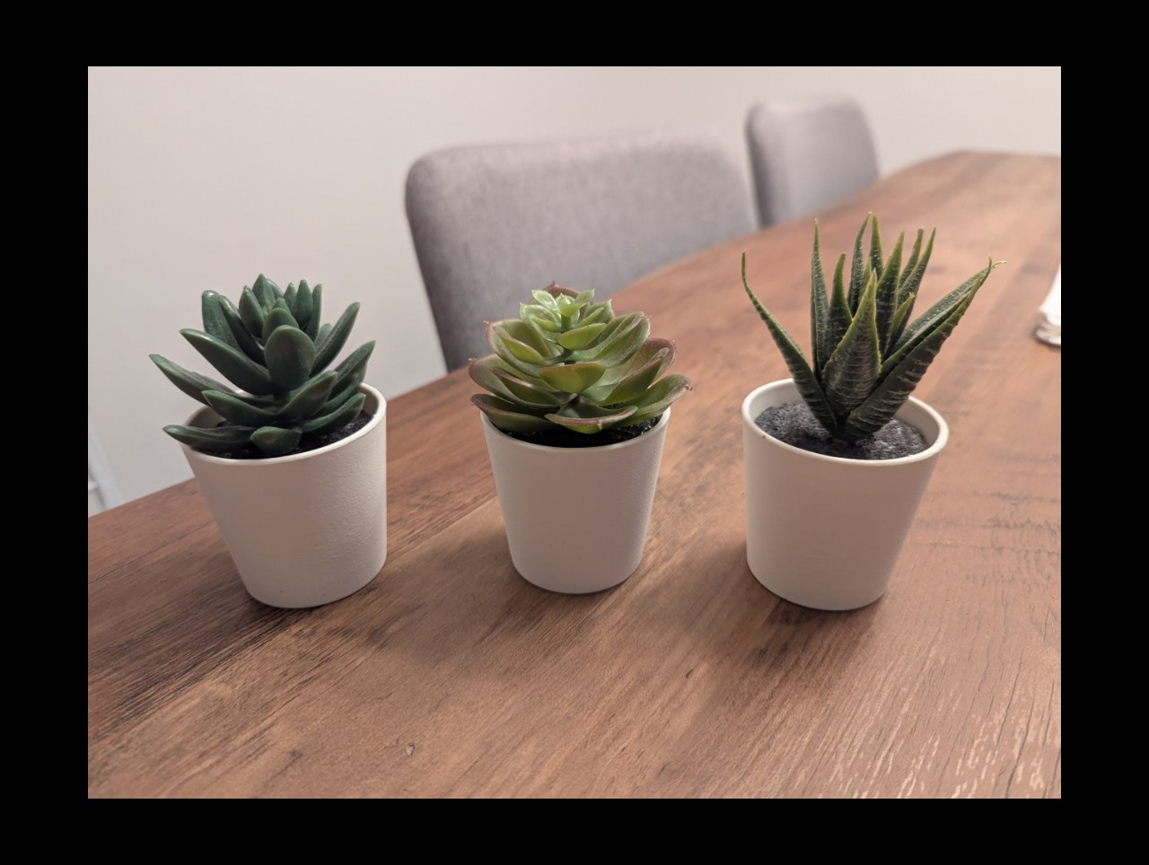 Ikea FEJKA Artificial Potted Succulents (Set of 3)