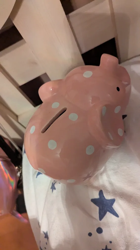 Pink Piggy Bank 🇨🇦 image indicator(2)