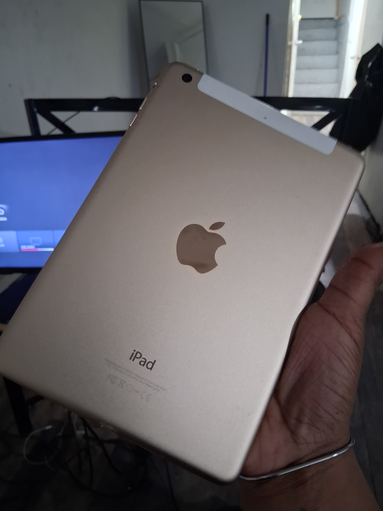 Apple iPad Gold - photo 3