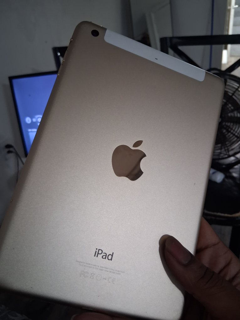 Apple iPad Gold - photo 4