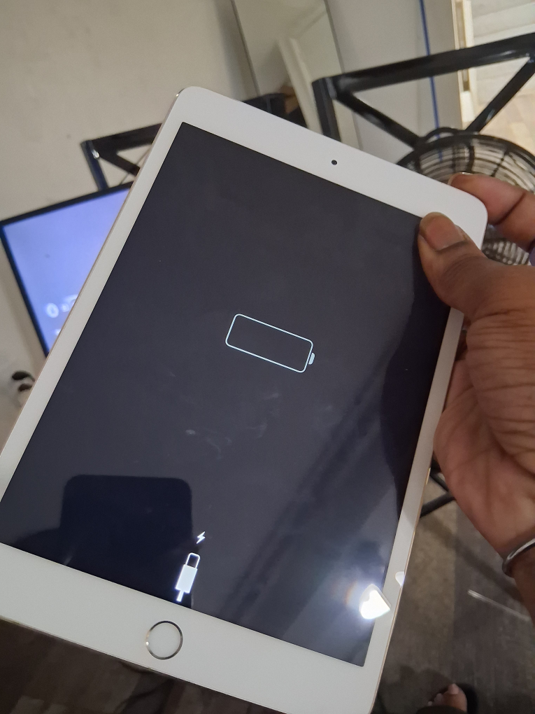 Apple iPad Gold - photo 5