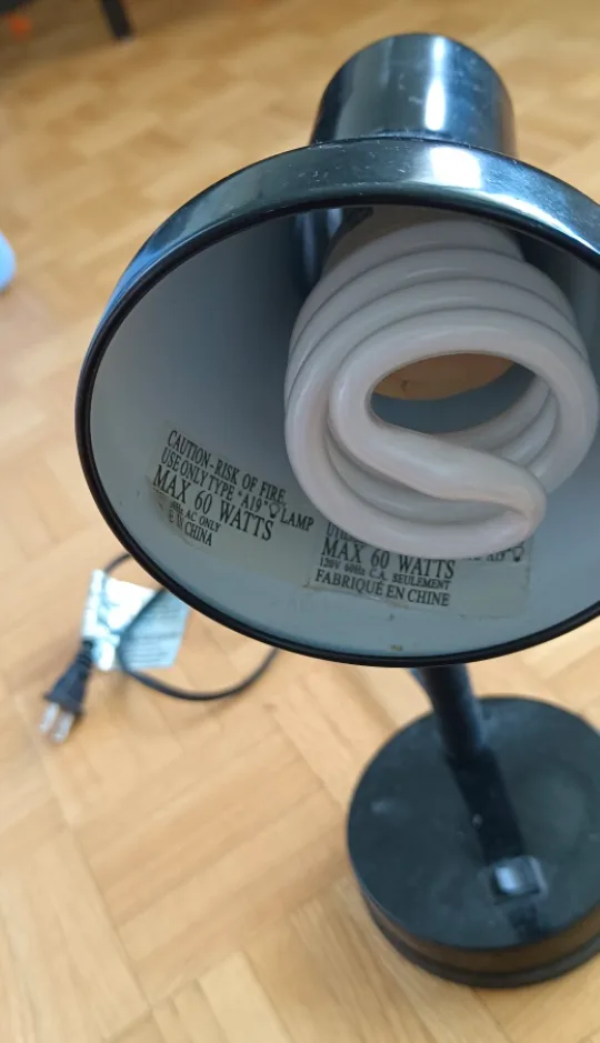 Globe Gooseneck Desk Lamp - Black image indicator(2)