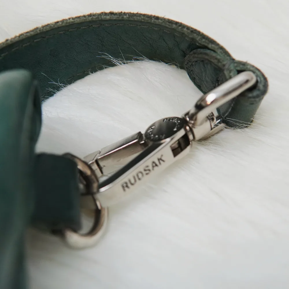 Rudsak Green Leather Crossbody Bag image indicator(5)