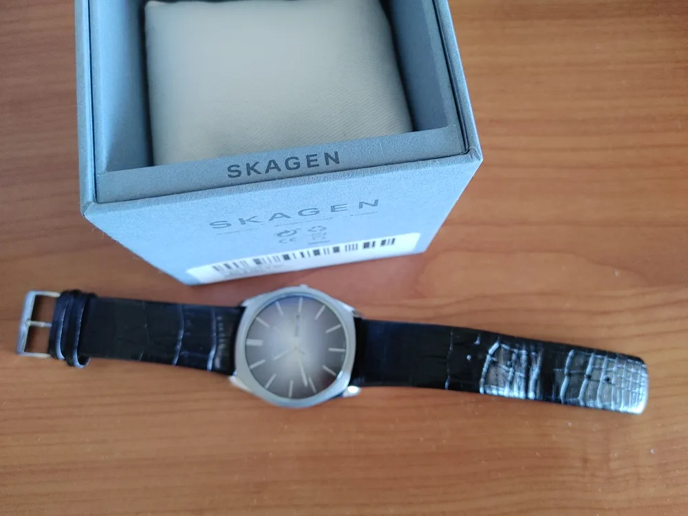 Skagen Black Leather Band Watch image indicator(3)
