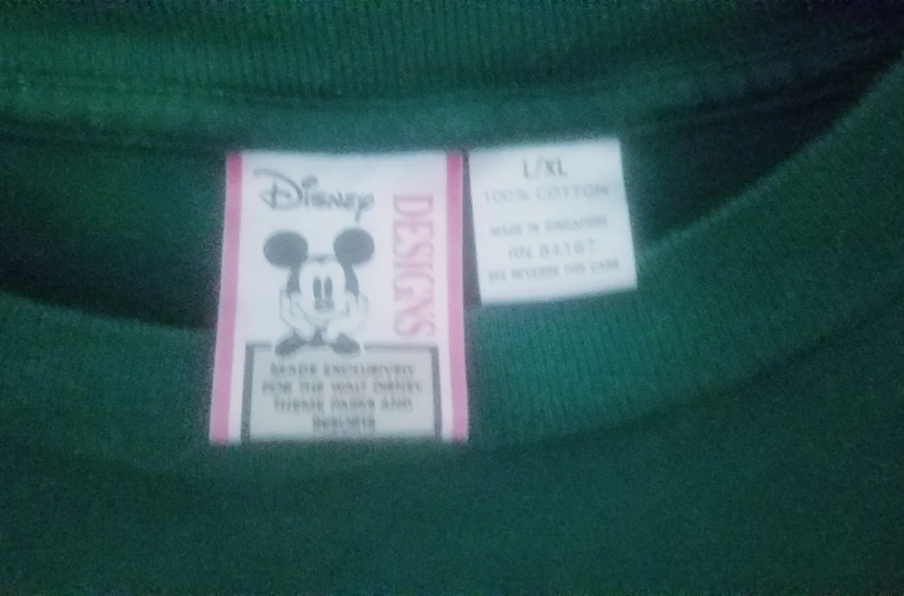 Disney Designs Tigger Green T-Shirt L/XL image indicator(3)