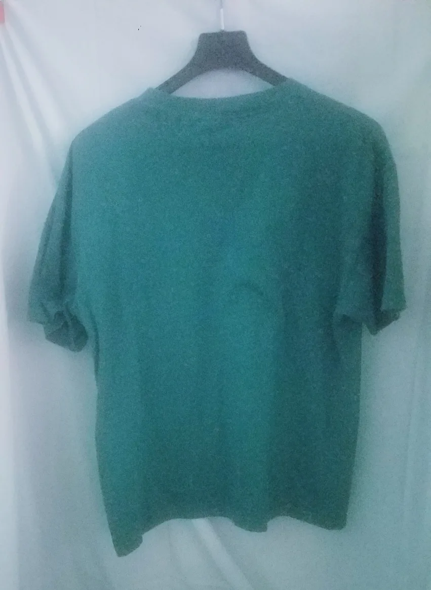 Disney Designs Tigger Green T-Shirt L/XL image indicator(4)