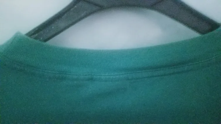 Disney Designs Tigger Green T-Shirt L/XL image indicator(6)