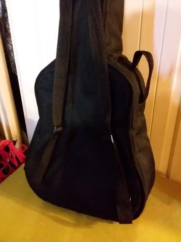 ➡️ Cosmo Music Soft Shell Guitar 🎸 Case image indicator(3)