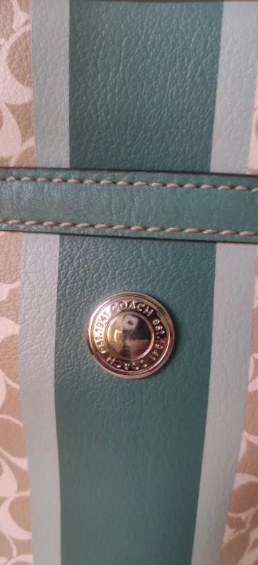 Coach Handbag image indicator(6)