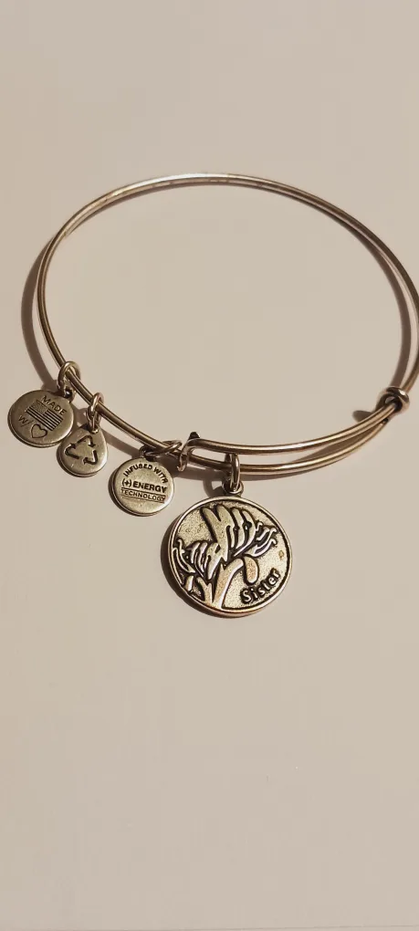 Alex and Ani Sister Charm Bangle Bracelet thumbnail