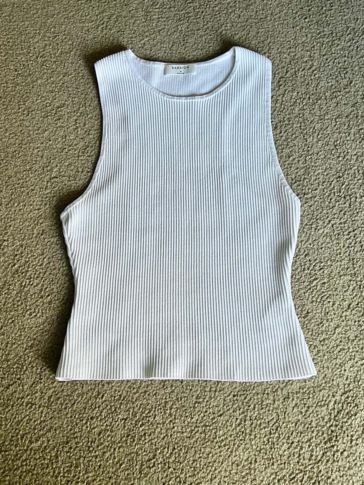 Babaton Sculpt Knit Top image indicator(4)