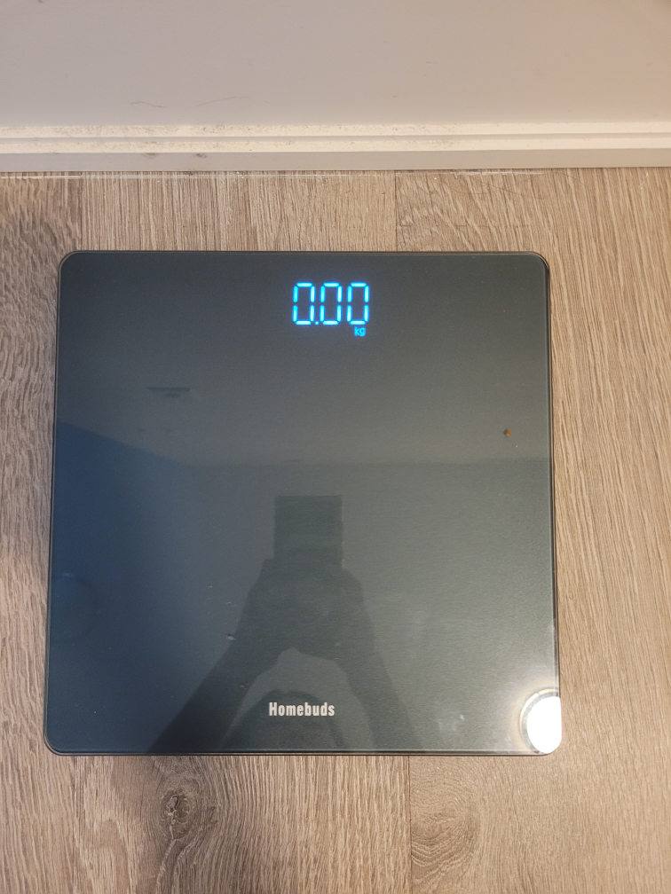 Homebuds Digital Weight Scale