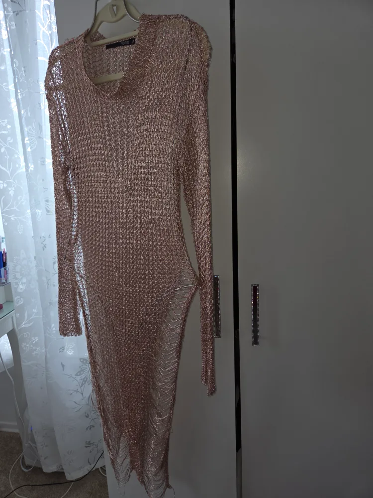 Mesh Rose Gold Dress image indicator(2)