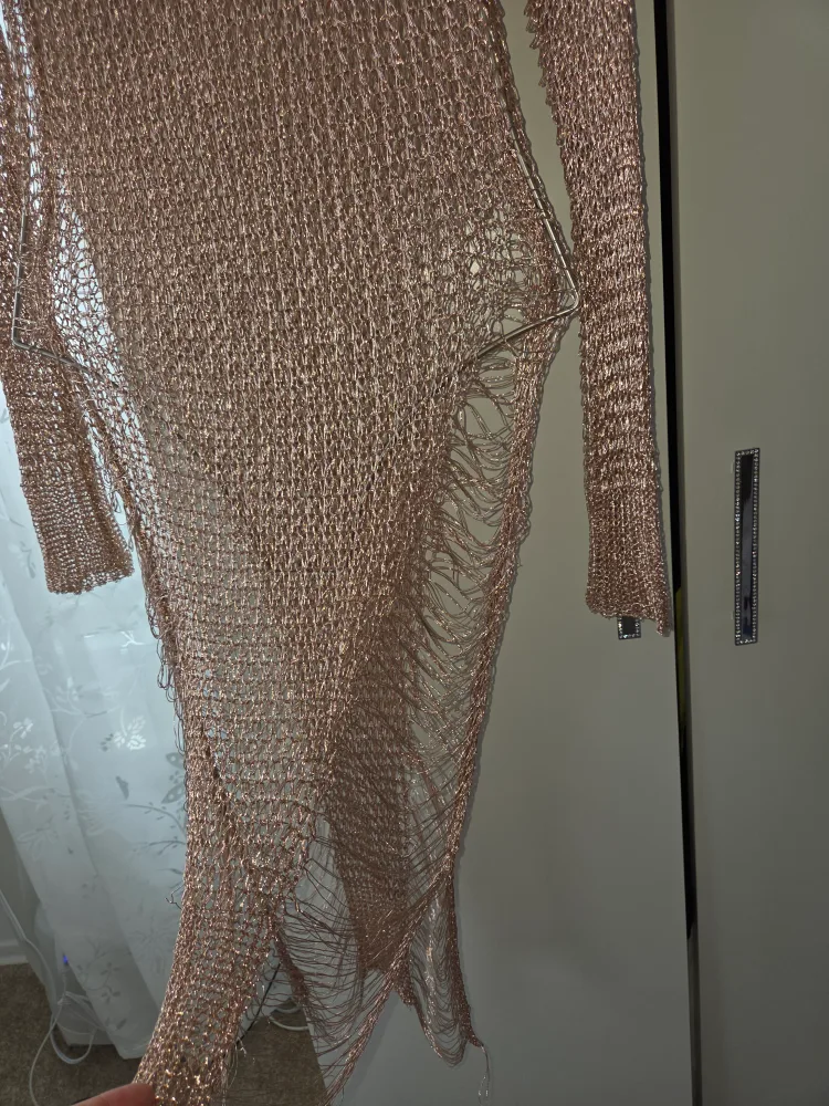 Mesh Rose Gold Dress image indicator(5)